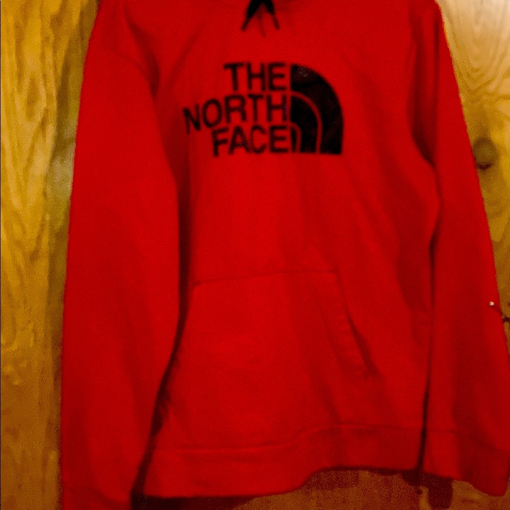 The north face hoodie size large